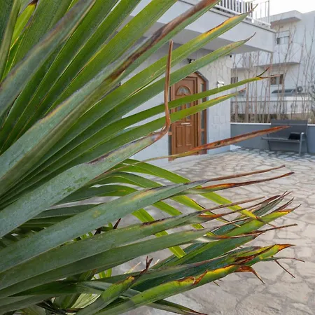 Noah Sea-view * נאוי אפיבטיי